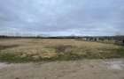 5700 mp Teren intrav. zona Mini Paradis, deschidere 44 ml- 28 eur/mp - 3