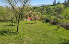 Teren deosebit - 1500 mp, Poiana Angelescu, Str. Livezii - 5