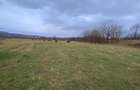 Caransebes, Teren Drept 5087 Mp. Ideal pt Casa 20 Euro Mp. Racovita - 3