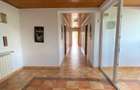 Domeniu Privat - Rosu/ Chiajna - Ilfov - 15