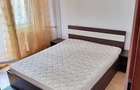 Apartament 2 Camere Teiul Doamnei - 5