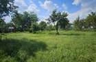 Teren intravilan 1400mp, deschidere 20mp, Snagov - 9