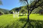 Teren Intravilan | 3050 Mp | Ieșire la Râu | Râul Sadului - 1
