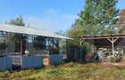 Casa  la Silagiu/Buzias - 8
