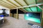 Cabana Ibanesti, locatie superba, Jacuzzi, 6 camere, - 5