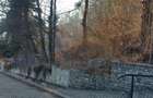 Teren 1925 mp, POT 40%, CUT 1,5-1,8, LANGA TELECABINA SINAIA - 11