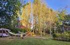 Vila individuala, teren 3000 mp, Iancu Nicolae - 34