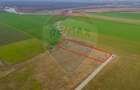 Teren intravilan 10.000 mp în Zona Industrială Sud Arad - 8