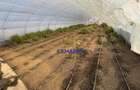 Teren intravilan vânzare - 2.750 mp – Dârvari/Tamadalu Mare (județul Călărași) - 6