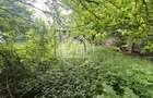 Voluntari | Teren 590 mp | Deschidere 20 ml | Proiect 2 Vile P+1 Avizat - 13