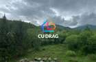 Investiție cu suflet: Pensiune de vânzare pe Valea Avrigului - 11
