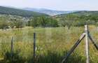 Teren extravilan de 1000 mp, situat pe strada Ghinzii - 4