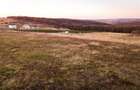 RECO Teren intravilan in Saldabagiu de Munte - 9