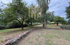 Casă individuală , eco construită din lemn, ,Copalnic Mănăștur ,la 25 min  - 14