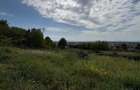 Teren intravilan, 1000 ari, Str. Miron Costin - 1