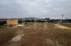 Casă la roșu cu 4 camere, 1134 mp teren, zona Bărăbant - 5