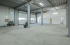 Inchiriere depozit/hala/spatiu industrial Otopeni - Centura - 27