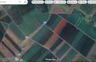 Vând teren extravilan 6500 mp - comuna Voinești, județul Iași - 2
