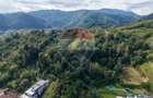 COMISION 0% | TEREN INTRAVILAN 3.731 MP | OPORTUNITATE RARĂ | BRAȘOV