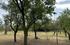 Stefanesti-sat Viișoara, Argeș, teren intravilan racordat la toate utilitățile - 14