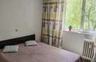 Apartament 2 camere decomandat Raul Doamnei, Drumul Taberei - 4