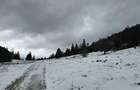Teren superb extravilan in apropiere de Poiana Brasov - 11