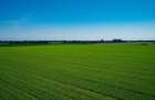 Vanzare Teren Extrav. Arabil, Pășune Chesint, Zabrani 1ha - 48.86ha - 2