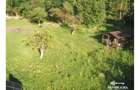 Afacere turistică „La Cheie” în inima Mărginimii Sibiului - 40