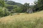 TEREN Intravilan 1800 mp Meteș deschidere 28 m Platou ideal Cabană View Superb - 2