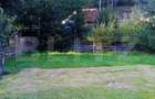 Cabana cu parau si brazi maturi, 1400mp, Valea Fericirii - 6