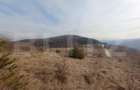 Teren extravilan, 12000 mp, curent com. Ramet - 5