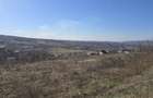 Oportunitate de investitie | Teren intravilan | 2900mp | HUB Borhanci - 1