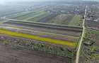Teren 10.000 mp, parcelabil, ideal ansamblu case P+1 | Gulia - Dambovita - 4