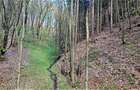 Domeniu de 7 ha in Apuseni - Criscior, Hunedoara - 4