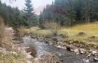 Teren intravilan 4331mp | Arieșeni | Oportunitate de Investiție - 16
