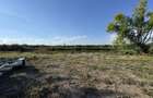 Teren 887mp Snagov | utilitati la gard, in curs autorizare ponton, curte privata - 3