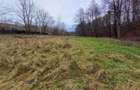 Resita, Teren Drept Intravilan, Langa Prau si Drum, Parcelabil, 4500 Mp., 15 Eur - 7