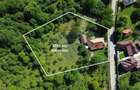 Casă de vânzare in natura la tara - Mihaesti - 1