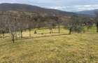 Teren intravilan si extravilan Luncoiu de Jos - 12