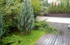 Apartament Aviatorilor - 3