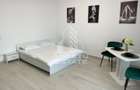 Apartament cu 1 camera mobilat si utilat in Giroc la asfalt. - 2