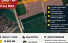 Ciolpani, Teren intravilan 4.5 Hectare - 2