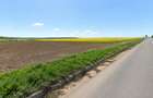 Teren 4,4 Ha la E85 între Budăi și Sîrca – 72 m Deschidere, 20 kV, Ideal Parc Fotovoltaic - 3
