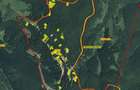 Teren 1400mp intravilan padure in statiunea Paltinis -zona statia Meteorologica - 4