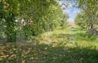 Teren extravilan de vanzare, 4000 mp, zona Simeria - 4