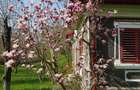 Vanzare casa Fieni - Runcu - 9