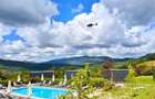 Glamping Flandra | Swimming pool | Pump track | Transfagaran | - 3