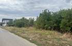 Teren 1000m Jilava  Str.Garii,Asfaltat ,Utilitati - 5