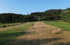 Teren 5886 mp In Bucovina - Bucsoaia! De Vanzare! 0727817187 - 6