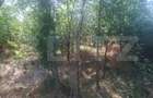 Teren extravilan de vaznare, 5000 mp, zona Matasaru - 1